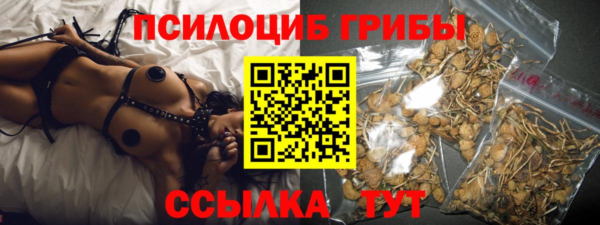 Псилоцибиновые грибы Cubensis  купить наркотик  Моздок  Вход с VPN  Галлюциногенные грибы Cubensis 